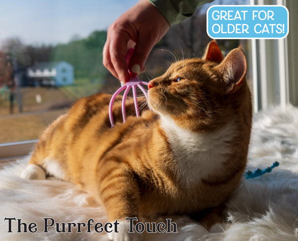 The Purrfect Touch - 5 Finger Cat Massager Wand – Pack of 2 - Gentle Pet Grooming Tool for Cats and Small Pets - Ergonomic Handle, Soft, Relaxing Massage that Cats Love!