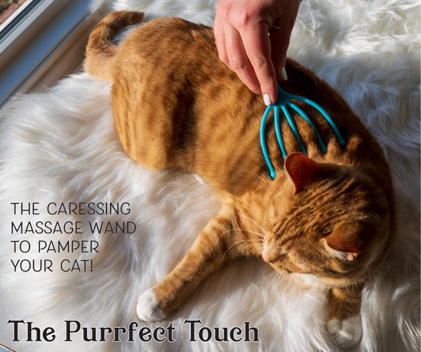 The Purrfect Touch - 5 Finger Cat Massager Wand – Pack of 2 - Gentle Pet Grooming Tool for Cats and Small Pets - Ergonomic Handle, Soft, Relaxing Massage that Cats Love!