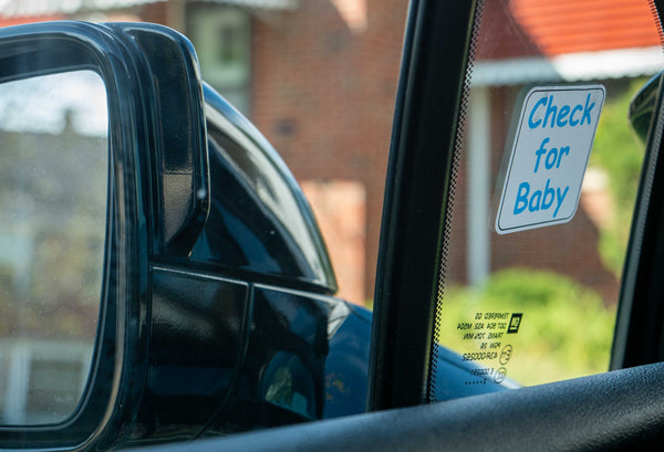 Backseat Baby™ - Car Seat Sticker Reminders